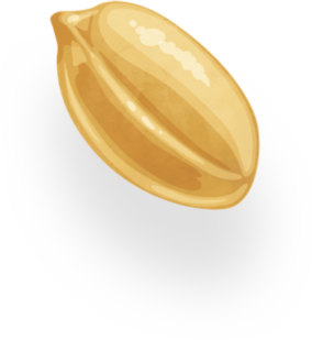 Barres de céréales cacahuètes peanut delight NAKD : la boite de 140g à Prix  Carrefour